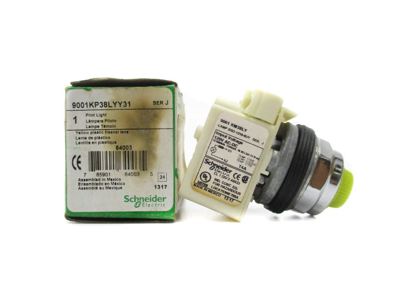 SCHNEIDER ELECTRIC 9001KP38LYY31 SER. J 120VAC/DC NSMP