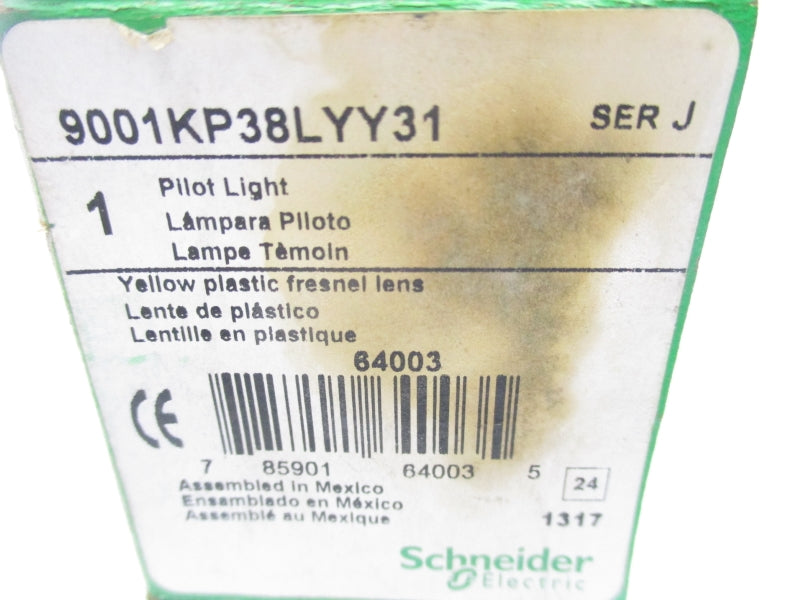 SCHNEIDER ELECTRIC 9001KP38LYY31 SER. J 120VAC/DC NSMP