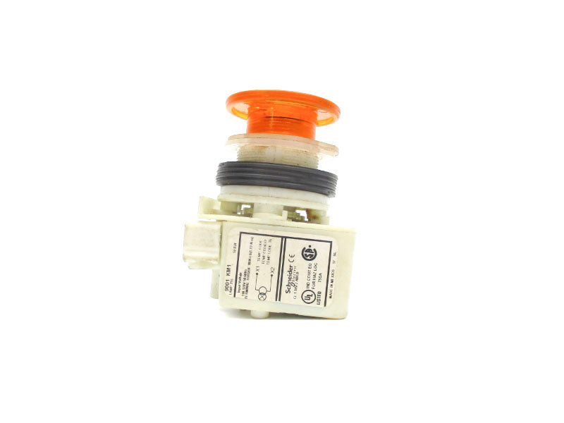 SCHNEIDER ELECTRIC 9001KM1A SER. H 110-120V NSNP