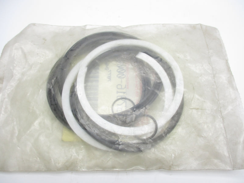 REXROTH P-106878-K0000 NSMP