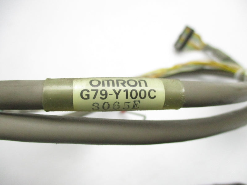 OMRON G79-Y100C NSNP