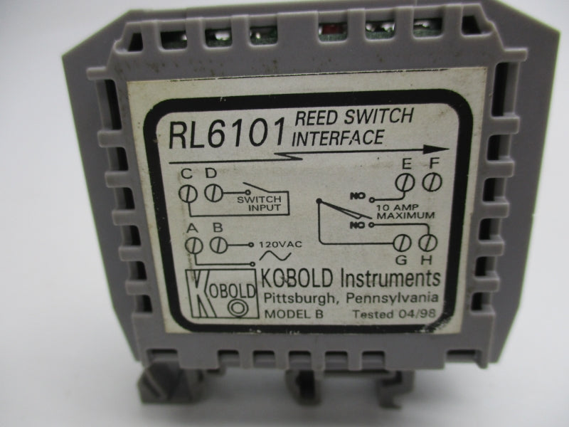 KOBOLD INSTRUMENTS RL6101 120VAC 10A NSNP