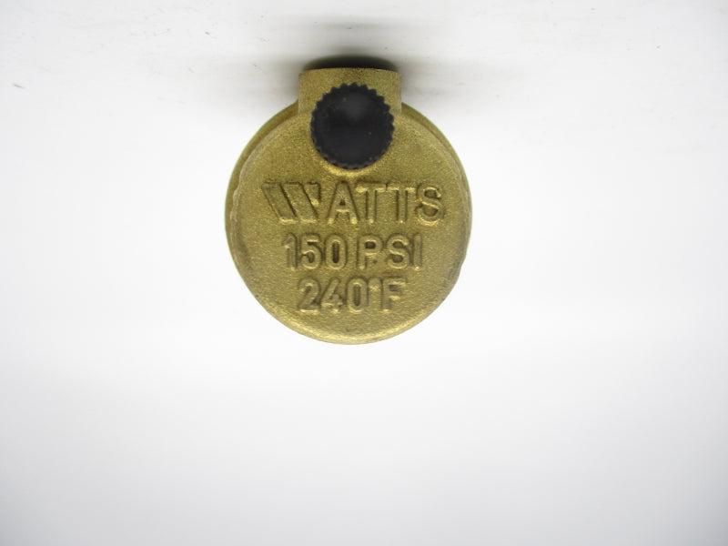 WATTS FV-4M1 150PSI 240'F 1/4" NSMP