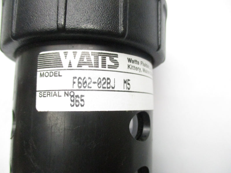 WATTS F602-02BJ-M5 NSNP