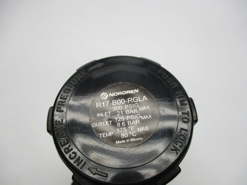 NORGREN R17-B00-RGLA 300PSI 175'F NSNP