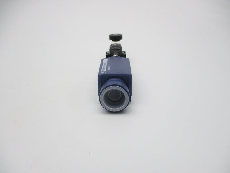 TELEMECANIQUE XCPR2118G13 240V 10A NSMP