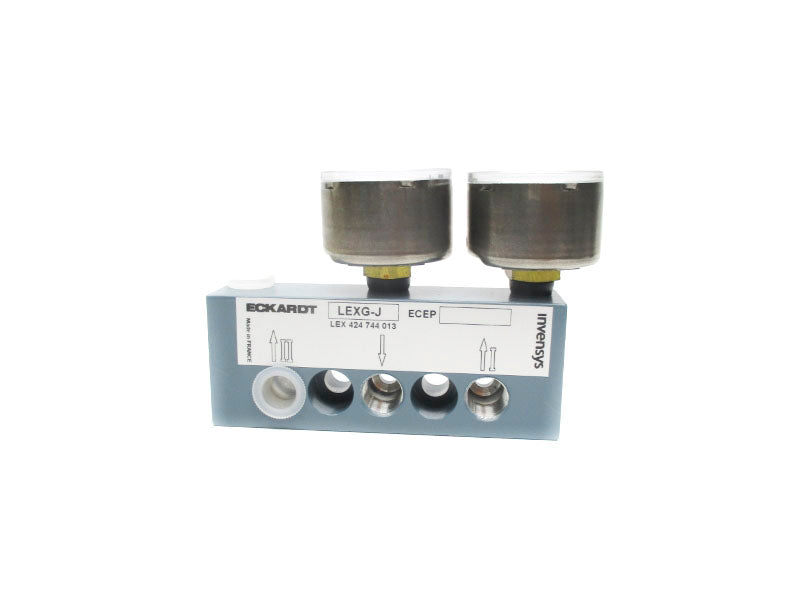 ECKARDT LEXG-J 424744013 0-150PSI NSNP