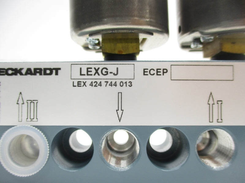 ECKARDT LEXG-J 424744013 0-150PSI NSNP