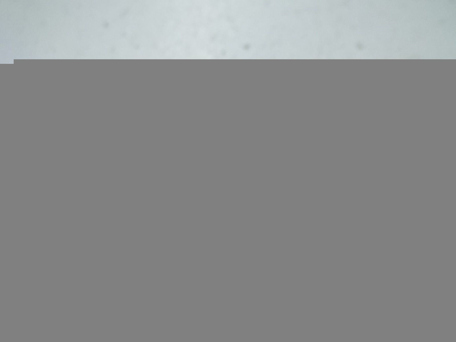 ASCO TE10A11 PRESSURE TRANSDUCER *NEW IN BOX*