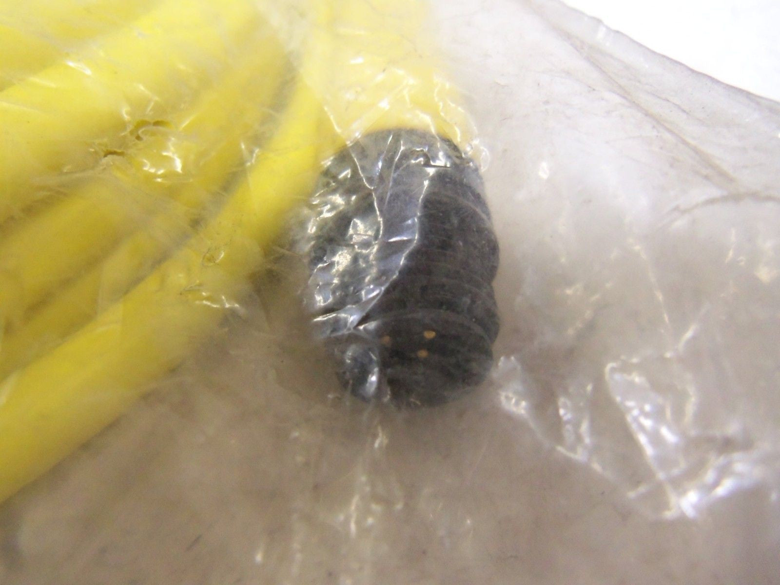 BRAD HARRISON 77303B01F200 CORDSET *NEW IN A FACTORY BAG*