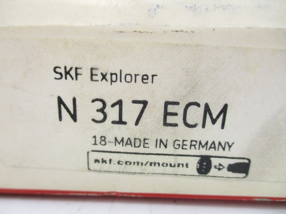 SKF N317ECM NSFS