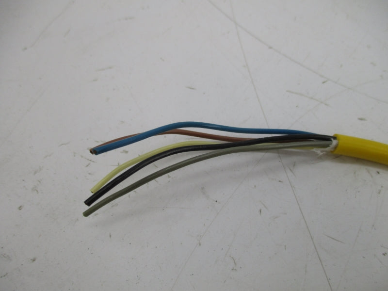 ALLEN BRADLEY 800Z-GL2065 SER. B 250VAC 3A (BR/WH) NSMP