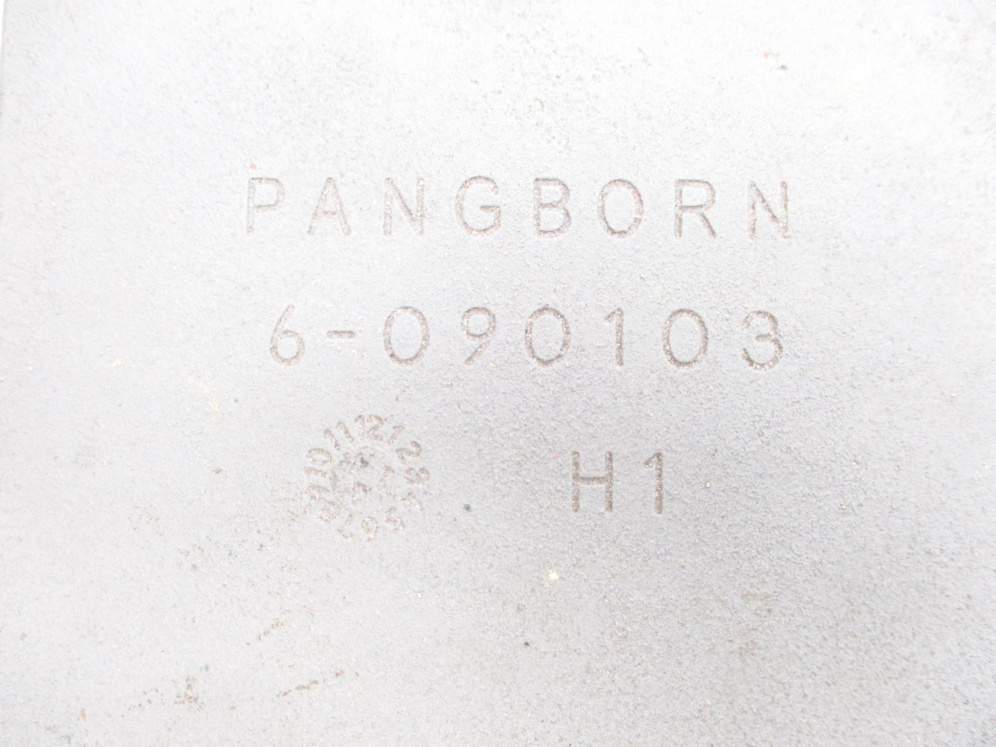 PANGBORN 6-090103H1 NSNP