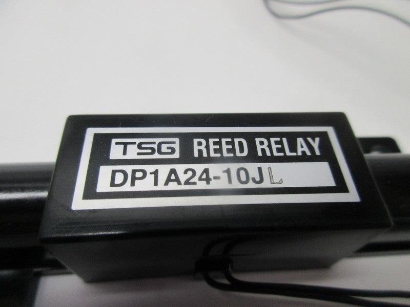 TSG DP1A24-10JL  NSNP