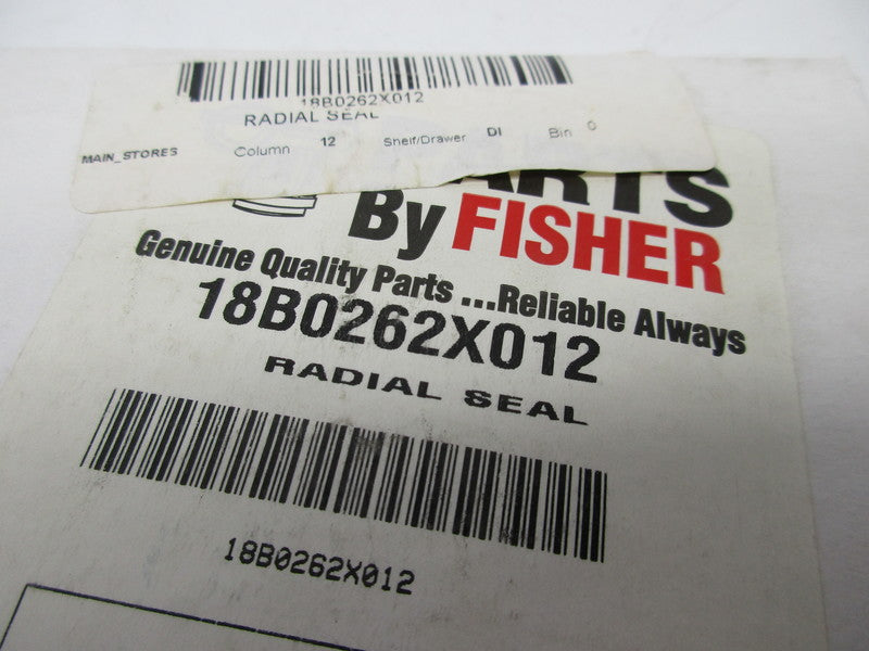 FISHER 18B0262X012 NSFS