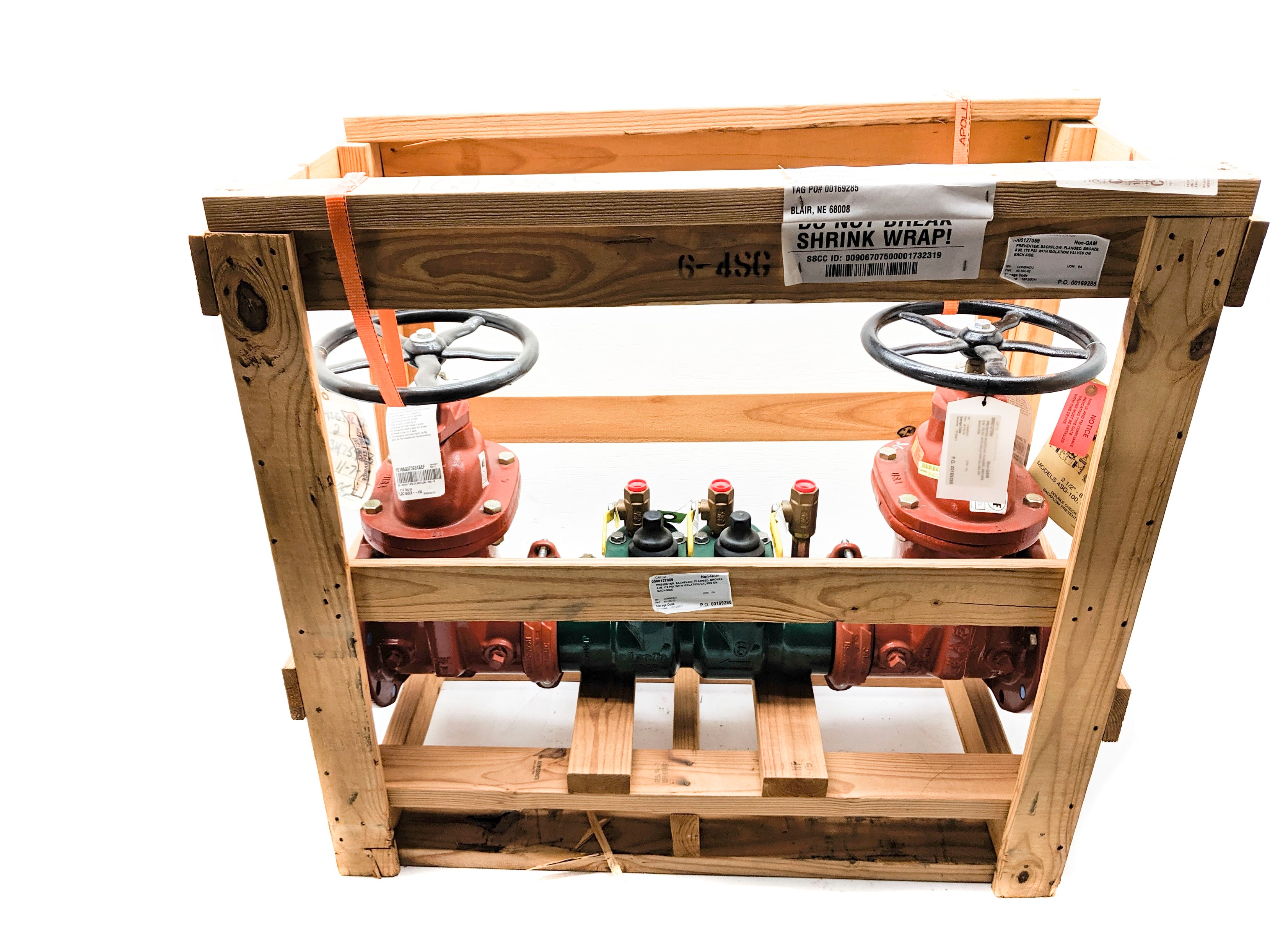 APOLLO 4SG-10C-02 DC4SG-NF6 175PSI 6" NSMP