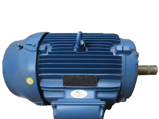 WEG 04018ET3E324T-W22 NSMP