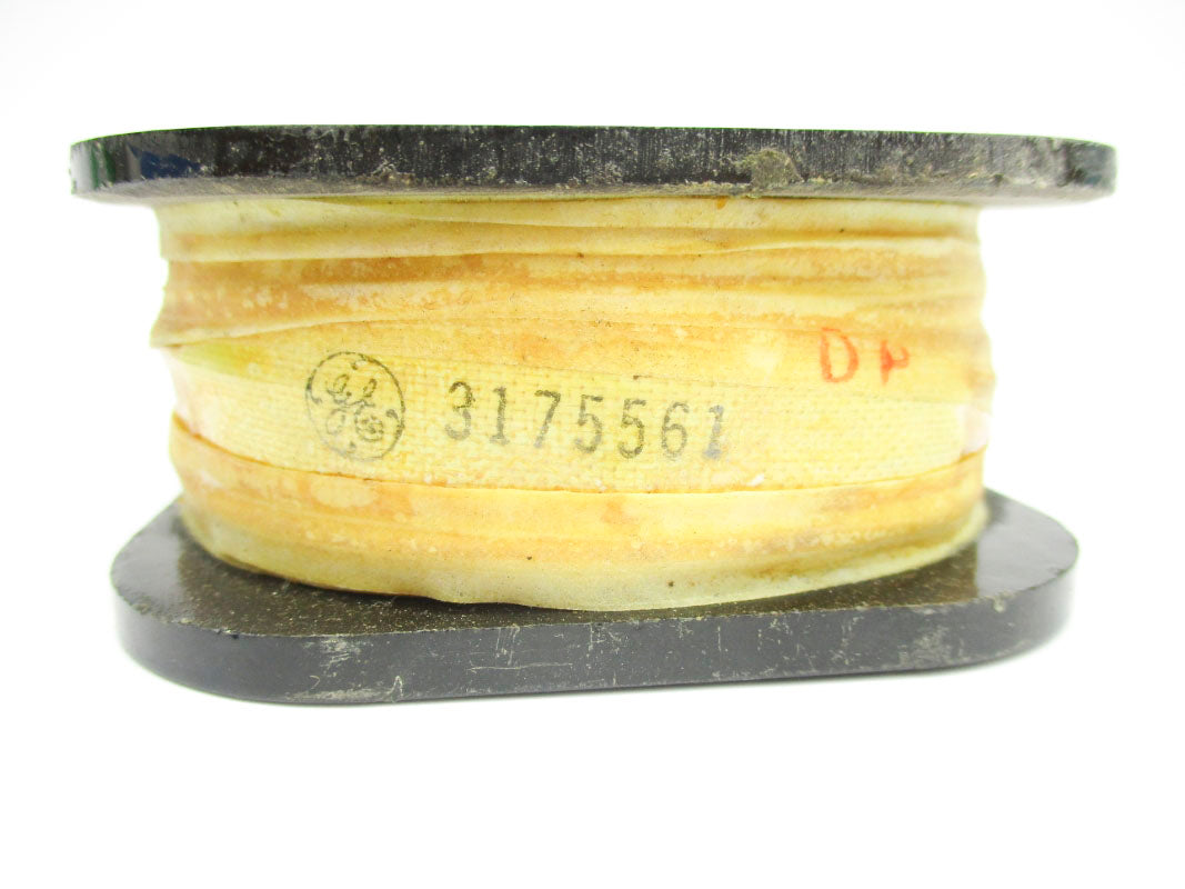 GENERAL ELECTRIC 3175561 UNMP