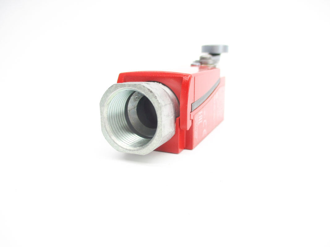 TELEMECANIQUE XCSD3919G13 240V 1.5A NSNP