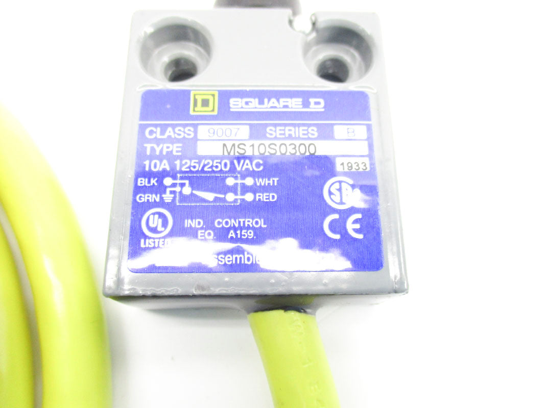 SQUARE D 9007MS10S0300 SER. B 125/250VAC 10A NSNP