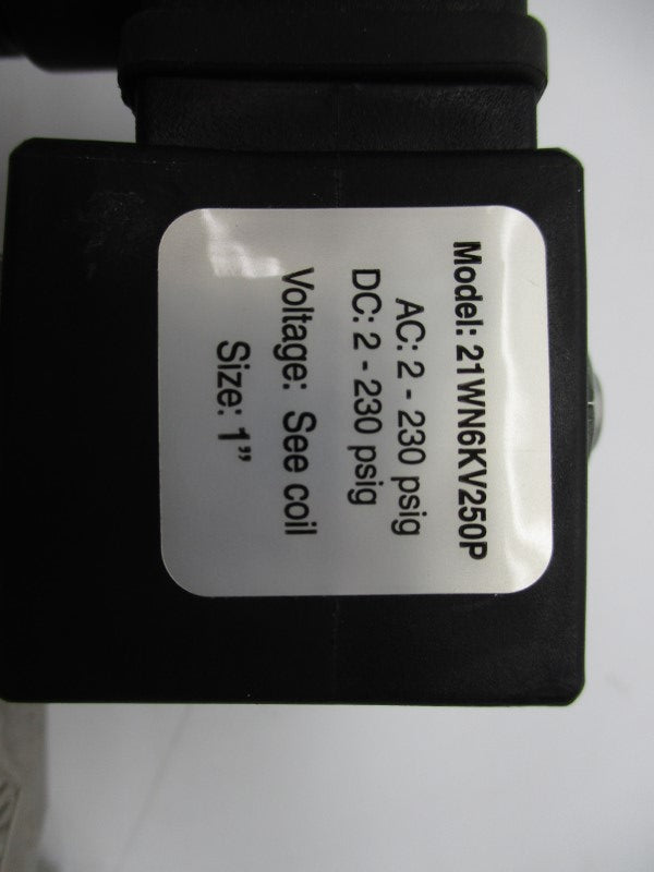GRANZOW 21WN6KV250P NSNP