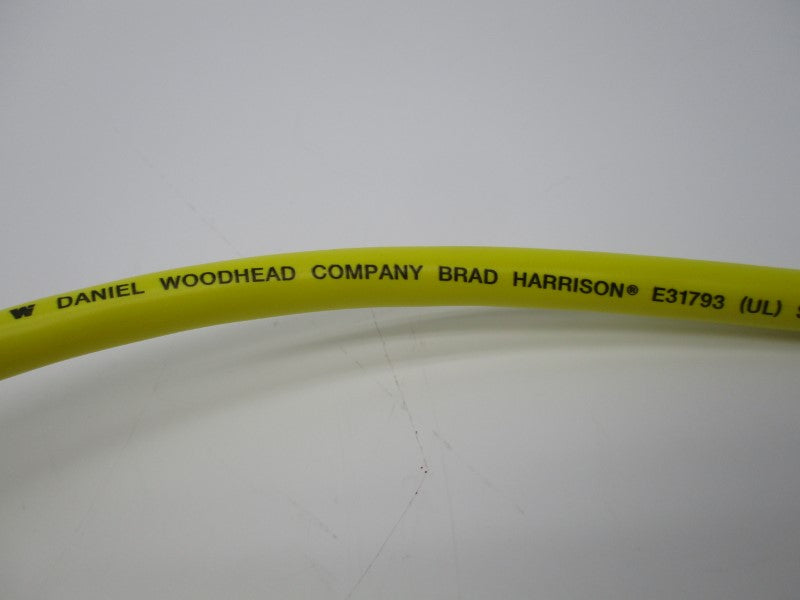DANIEL WOODHEAD E31793 NSNP
