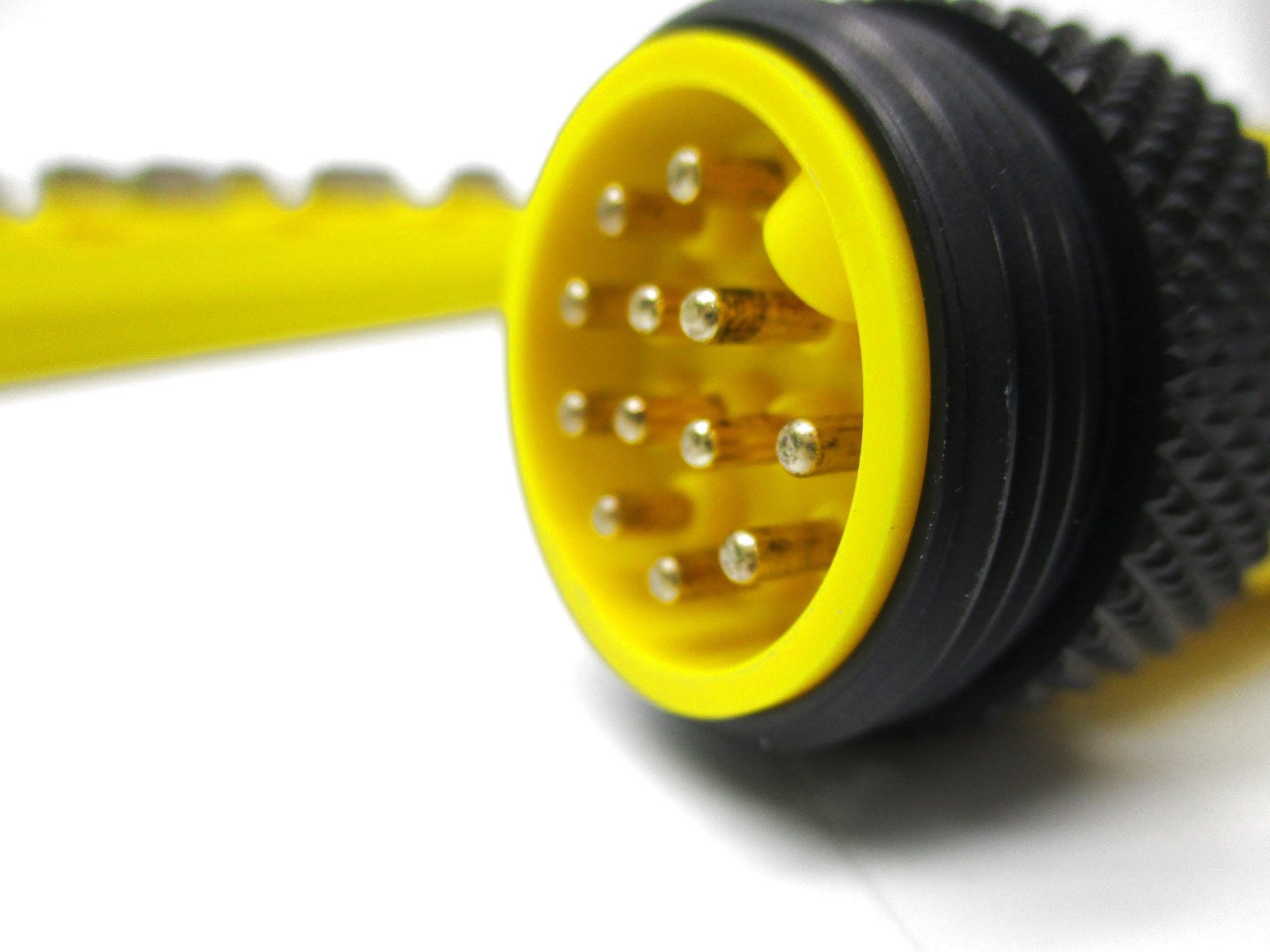 LUMBERG AUTOMATION ASB8/LED5-4-331-RS120M NSNP