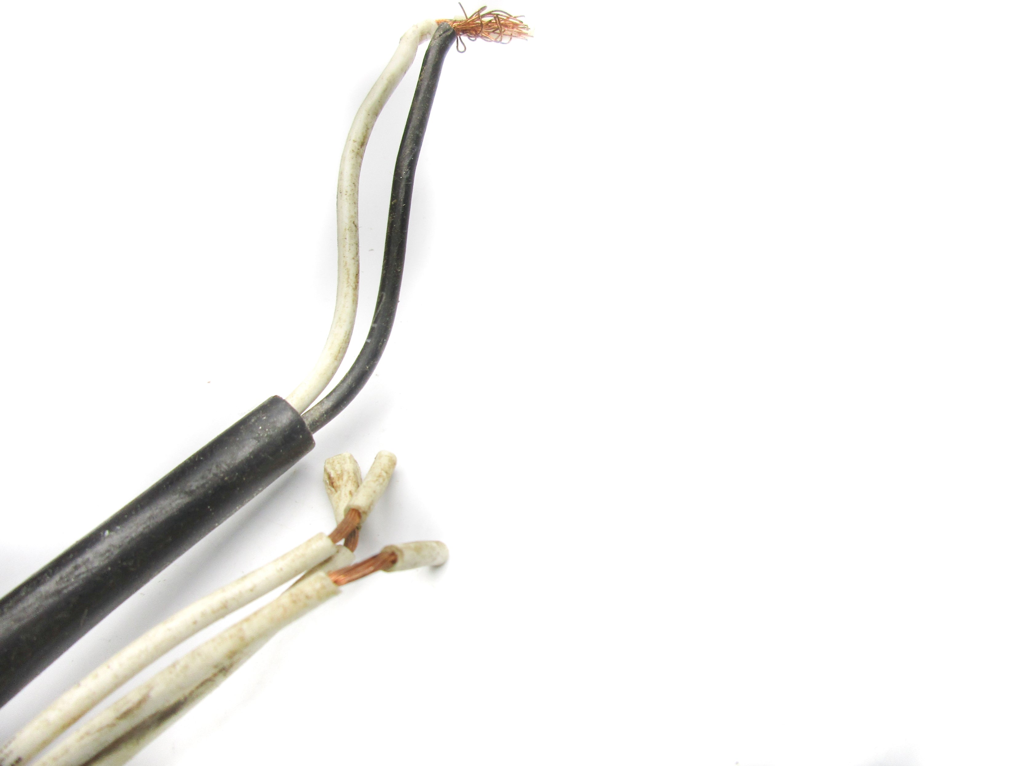 BELIMO NF120-S-US UNMP