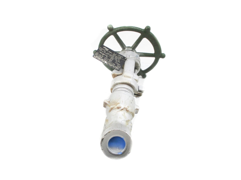 FLOWSERVE B16.34LTD D36124F22 1330PSI 1050F NSNP