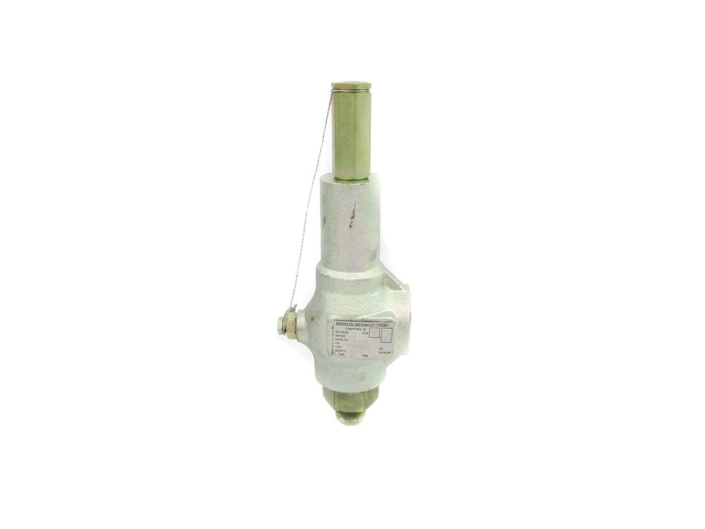 ANDERSON GREENWOOD 83S1M68-8 75PSI NSNP