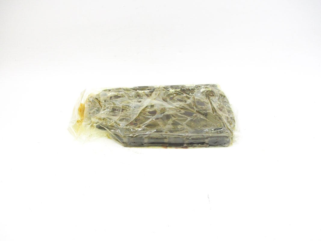 TSUBAKI RF2060SX10FT NSMP
