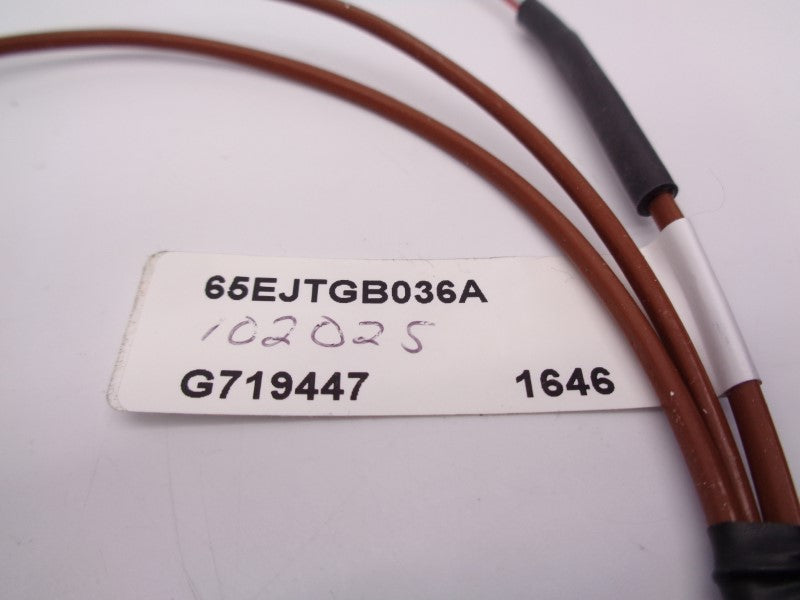 WATLOW 65EJTGB036A G719447 NSNP