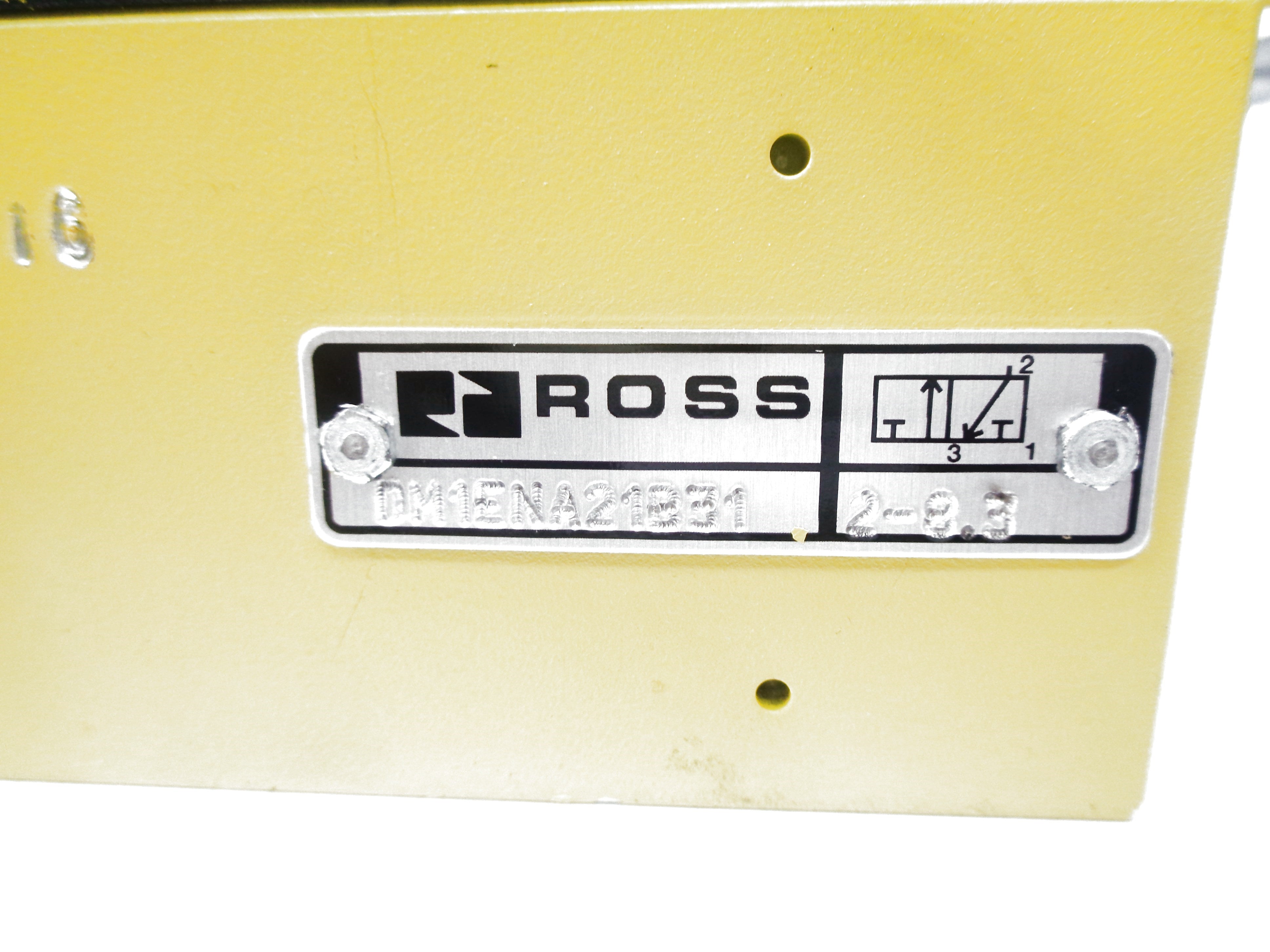 ROSS DM1ENA21B31 NSNP