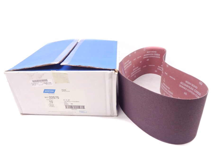 NORTON 22575 (PKG OF 10) NSMP