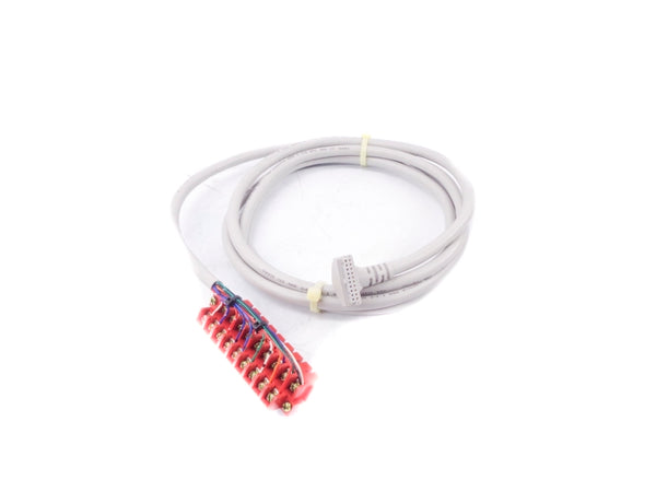 ALLEN BRADLEY 1492-CABLE025C SER. C (BR/WH) NSMP