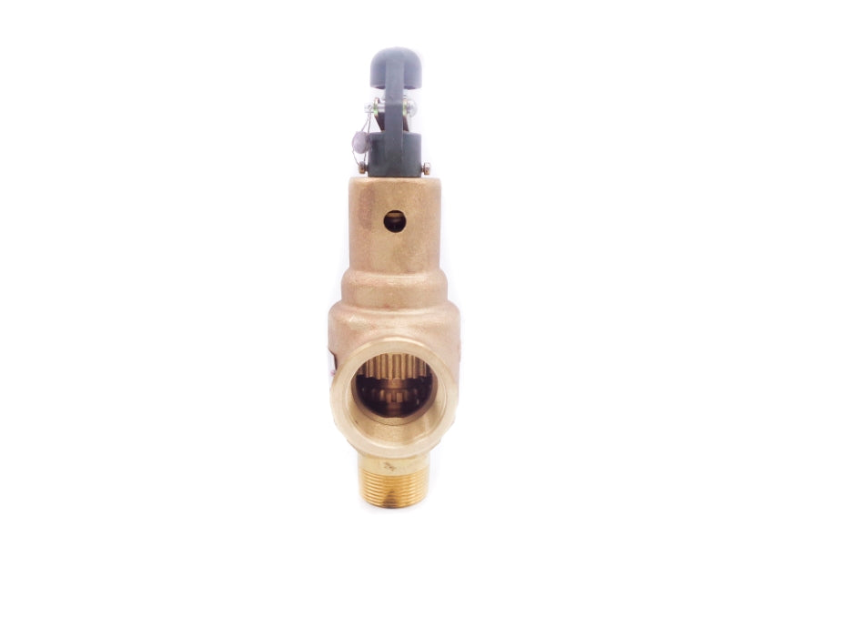 KUNKLE 6010GFM01-KM 200PSI NSNP