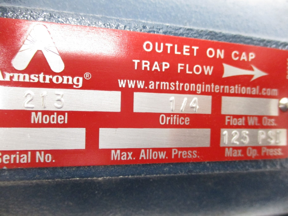 ARMSTRONG MODEL 213 125PSI NSNP