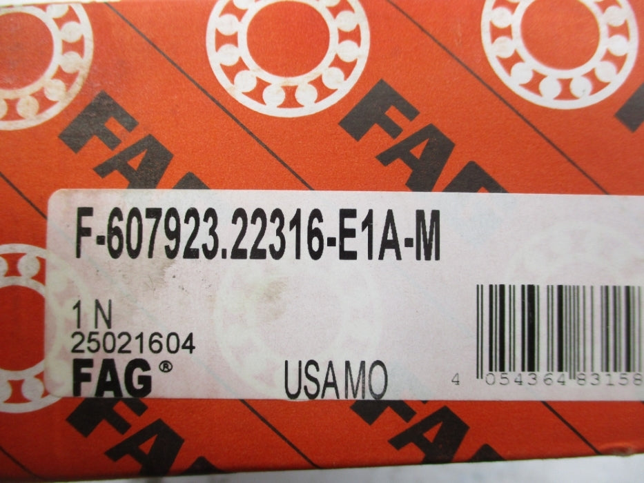 FAG F-607923.22316-E1A-M NSMP