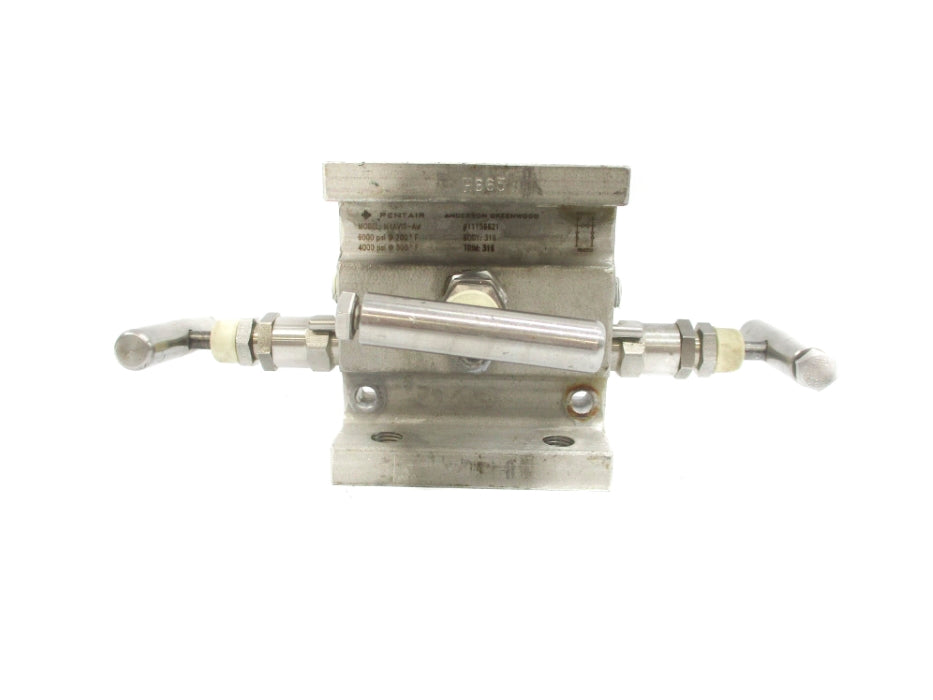PENTAIR M4AVIS-AM 6000PSI 200F UNMP