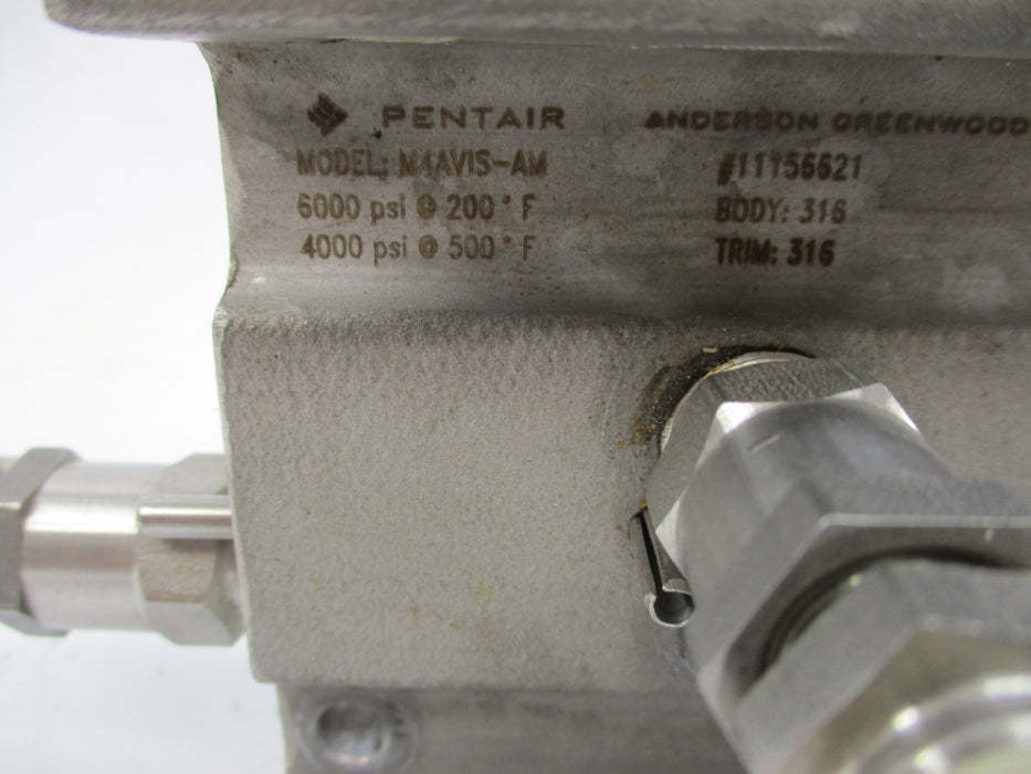 PENTAIR M4AVIS-AM 6000PSI 200F UNMP