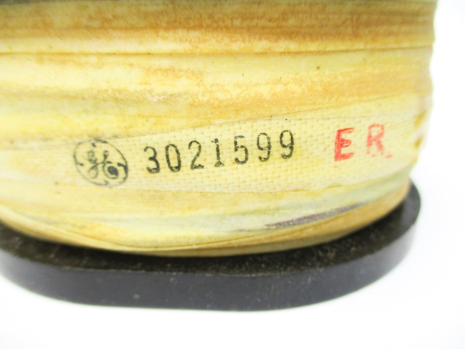 GENERAL ELECTRIC 3021599 NSNP
