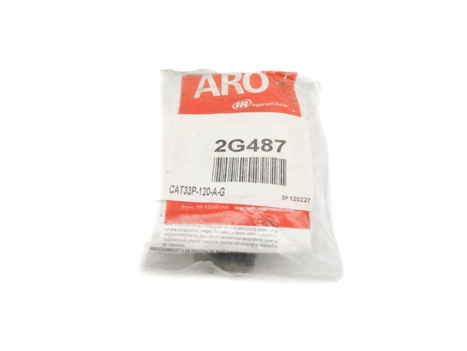INGERSOLL RAND 33P-120-A-G 2G487 NSMP