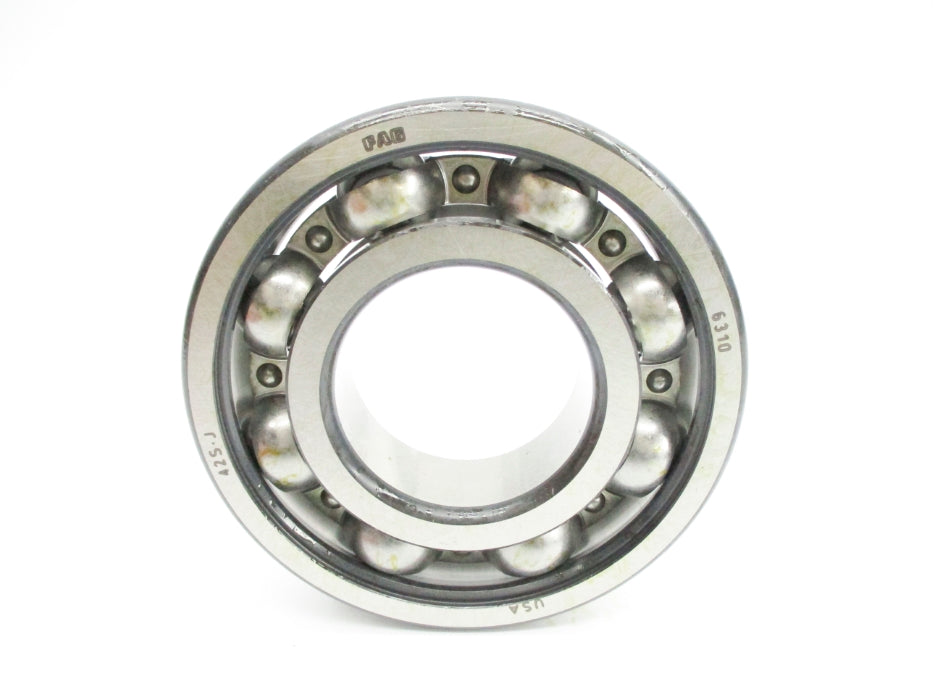 FAG 6310 NSMP