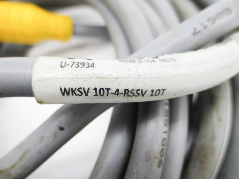 TURCK WKSV10T-4-RSSV10T U-73934 UNMP