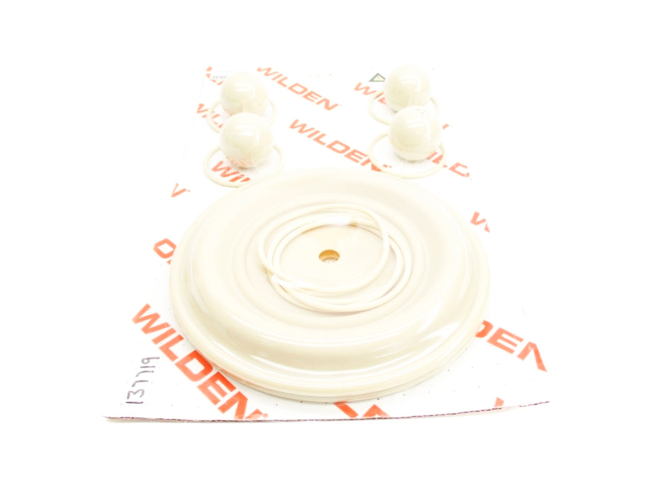 WILDEN 08-9815-58-207 NSFS