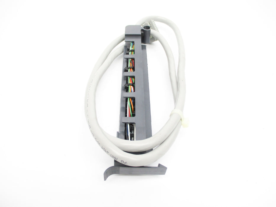 ALLEN BRADLEY 1492-CABLE010F SER. C NSNP