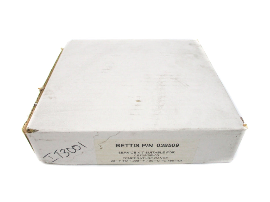 BETTIS 038509 NSFS