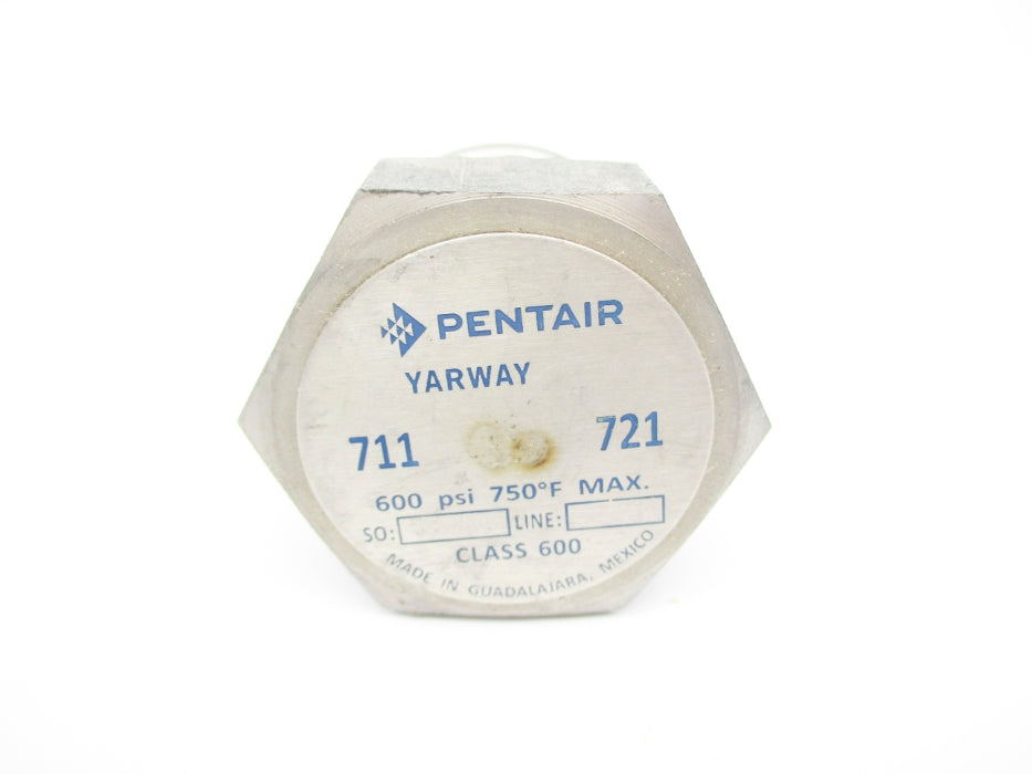 PENTAIR YARWAY 968358-02 600PSI 750F NSMP