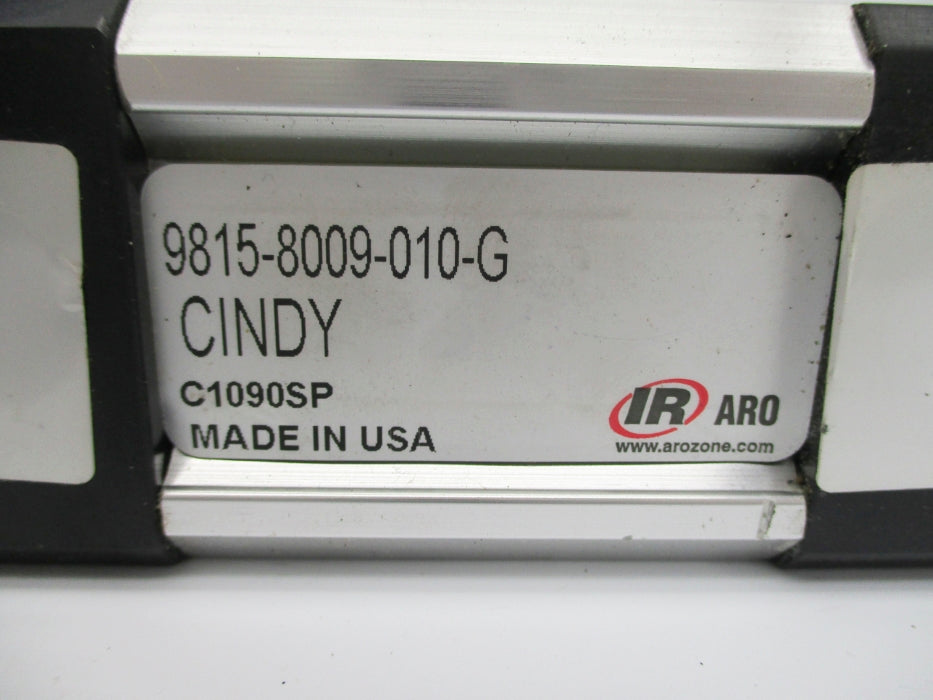 INGERSOLL RAND 9815-8009-010-G NSNP