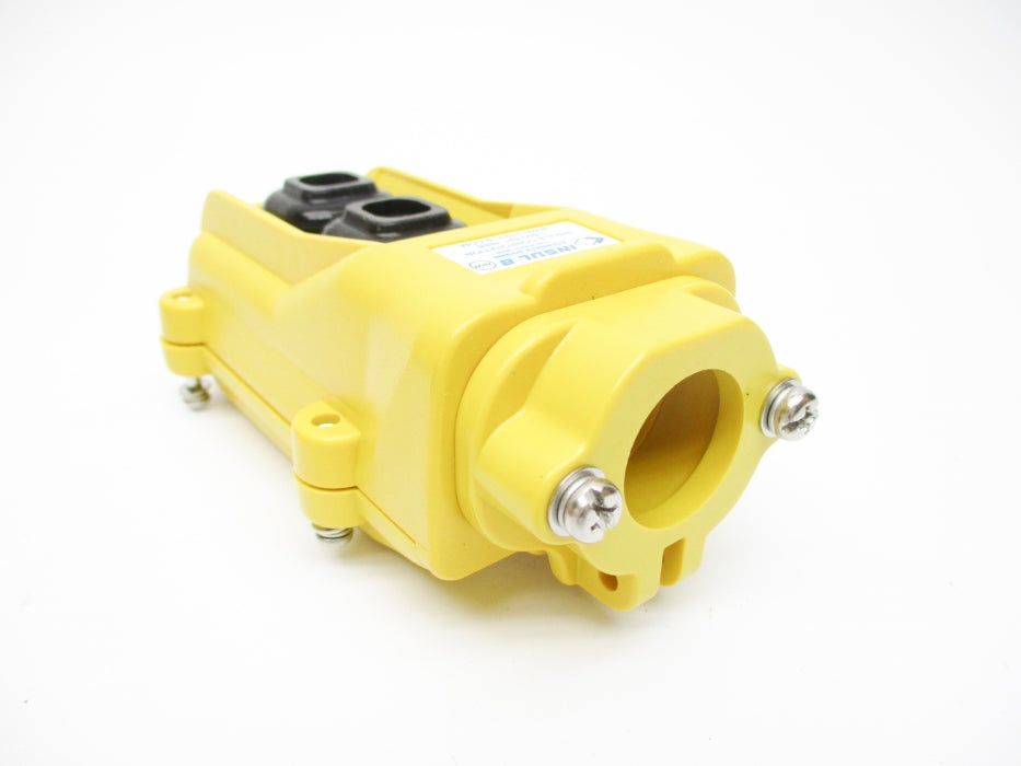 HOIST 34214 300COB81C NSMP